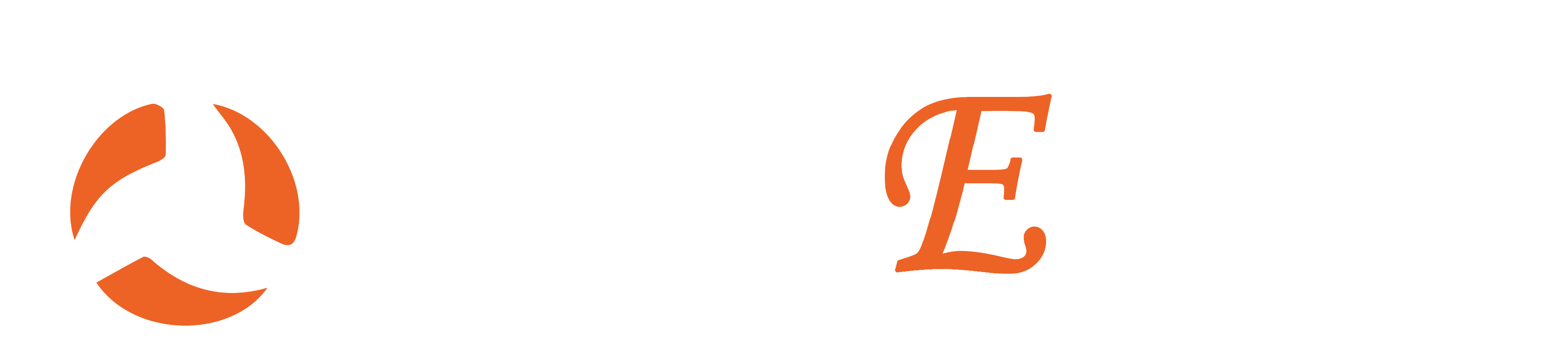 Data-Engine Pvt Ltd.